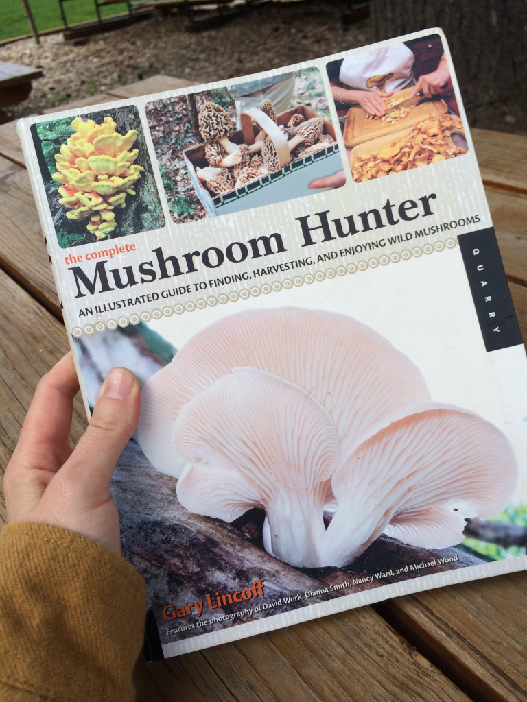 Mushroom Hunter